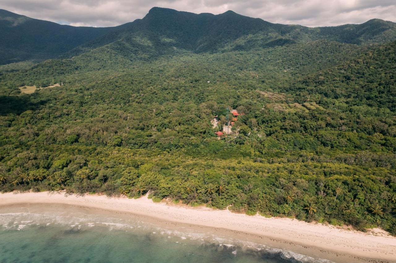 Pk'S Jungle Village Cape Tribulation Exterior photo