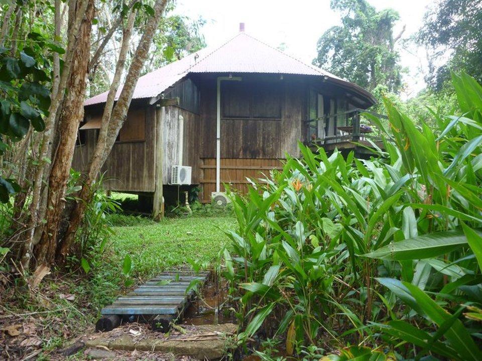 Pk'S Jungle Village Cape Tribulation Exterior photo