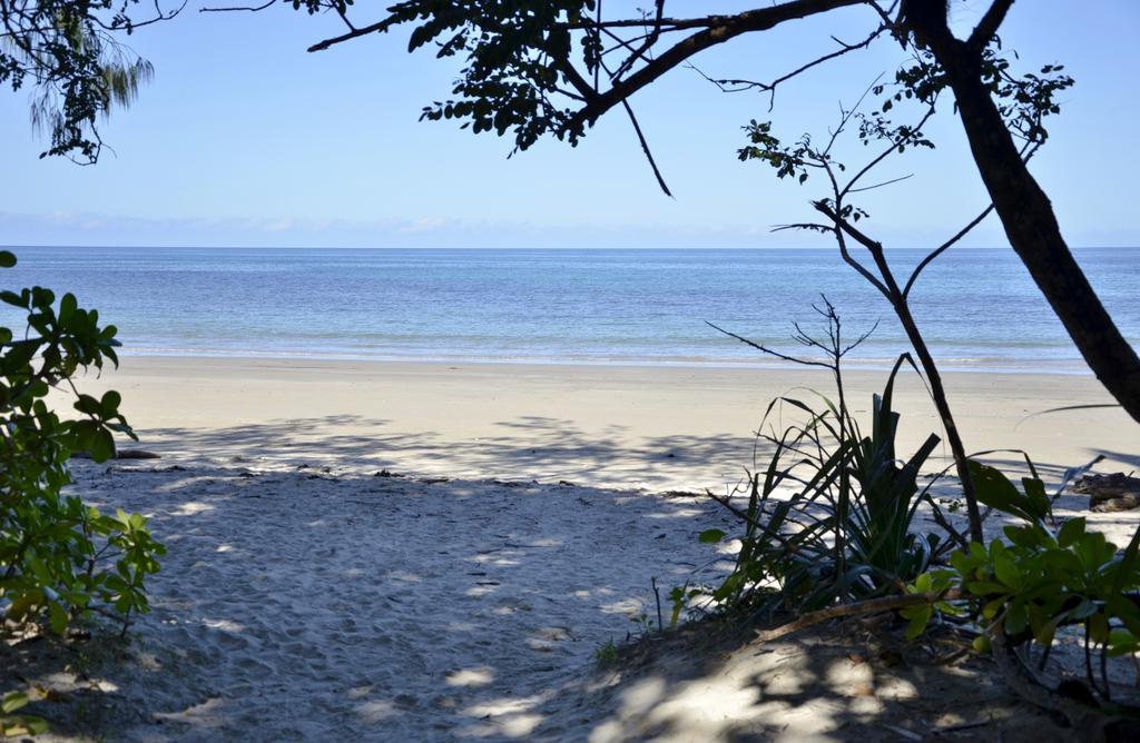 Pk'S Jungle Village Cape Tribulation Exterior photo