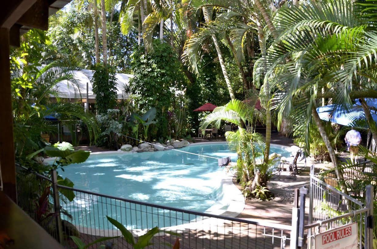 Pk'S Jungle Village Cape Tribulation Exterior photo