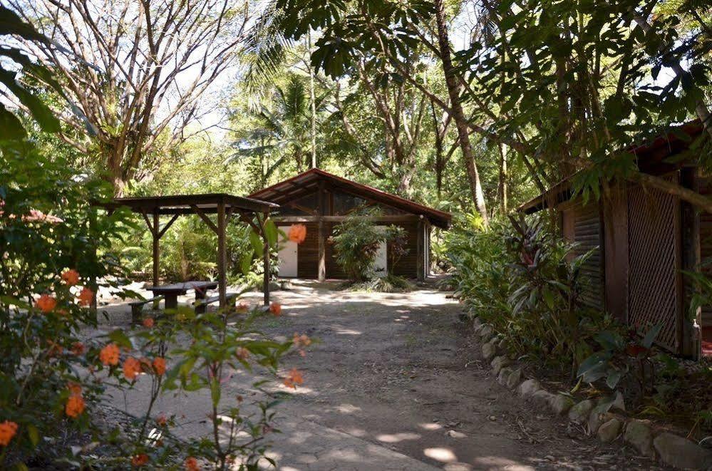 Pk'S Jungle Village Cape Tribulation Exterior photo